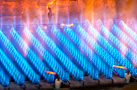 Rosebery gas fired boilers